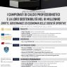 I CAMPIONATI DI CALCIO PROFESSIONISTICI E LA LORO SOSTENIBILITÀ NEL III MILLENNIO
