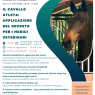 IL CAVALLO ATLETA: APPLICAZIONE DEL DECRETO PER I MEDICI VETERINARI